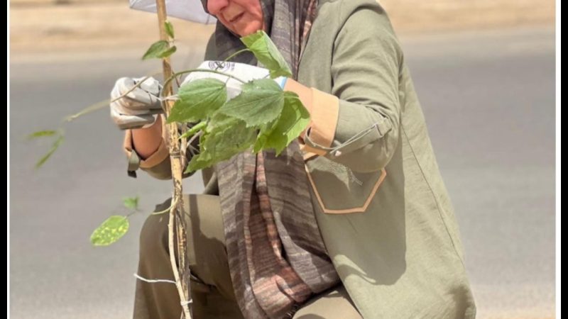 شكوفة تواجه التهديد المناخي بالتشجير التطوعي