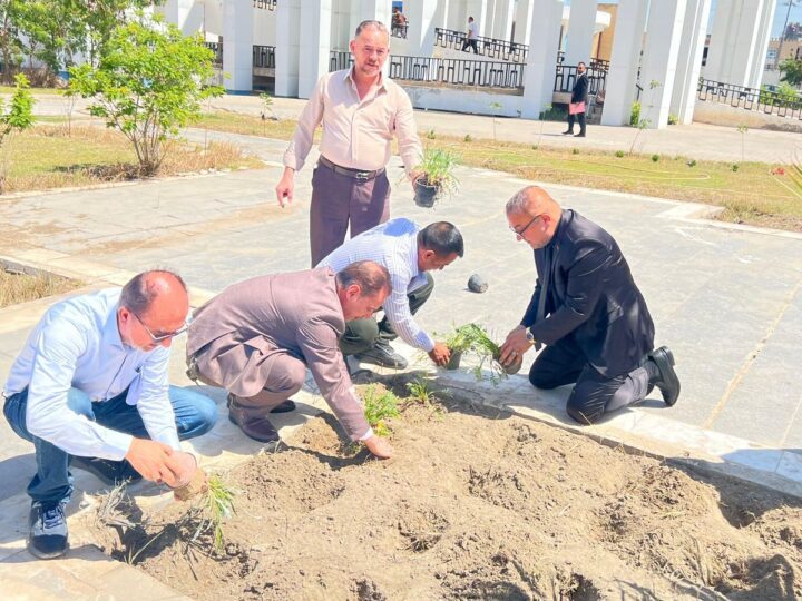 حملة تشجير يومية لتجميل الفضاءات العامة في النجف الاشرف