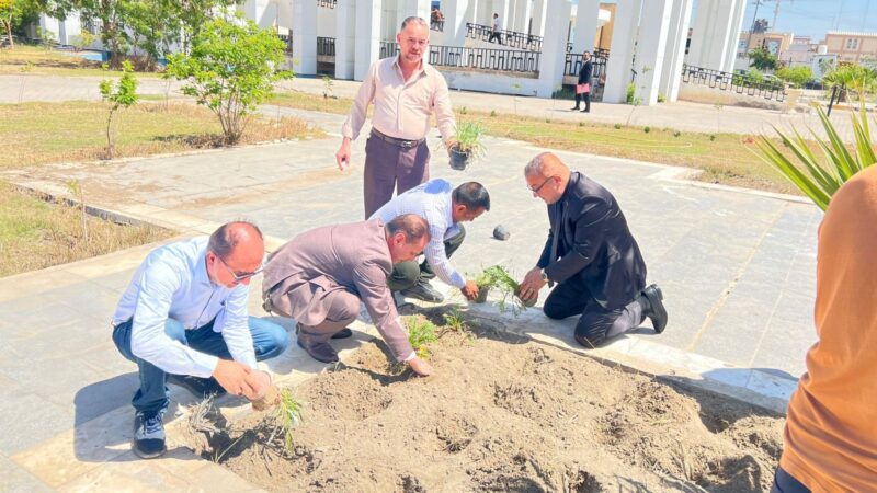 حملة تشجير يومية لتجميل الفضاءات العامة في النجف الاشرف