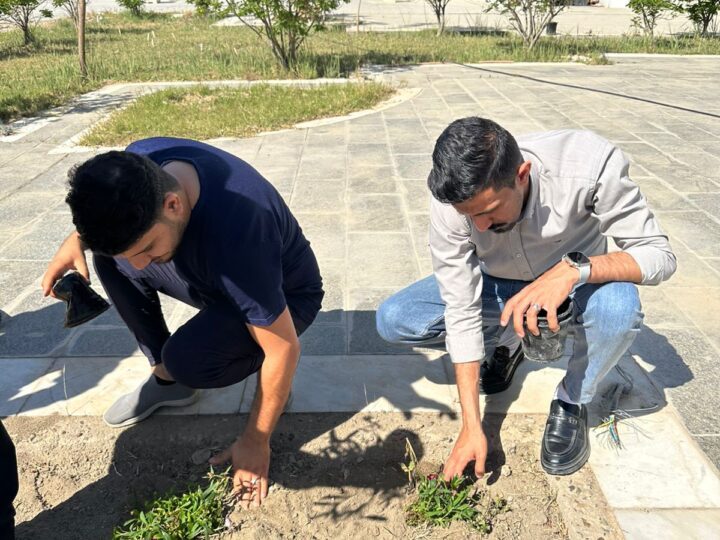 100 شتلة تُزرع في حدائق ديوان المحافظة ضمن الحملة الربيعية