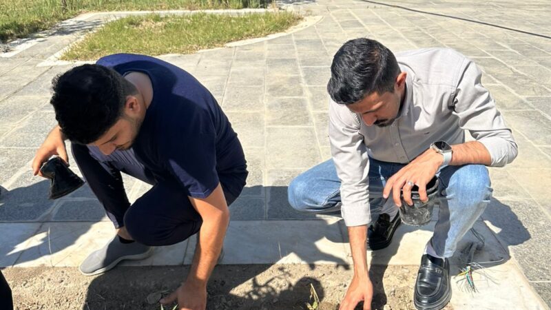 100 شتلة تُزرع في حدائق ديوان المحافظة ضمن الحملة الربيعية