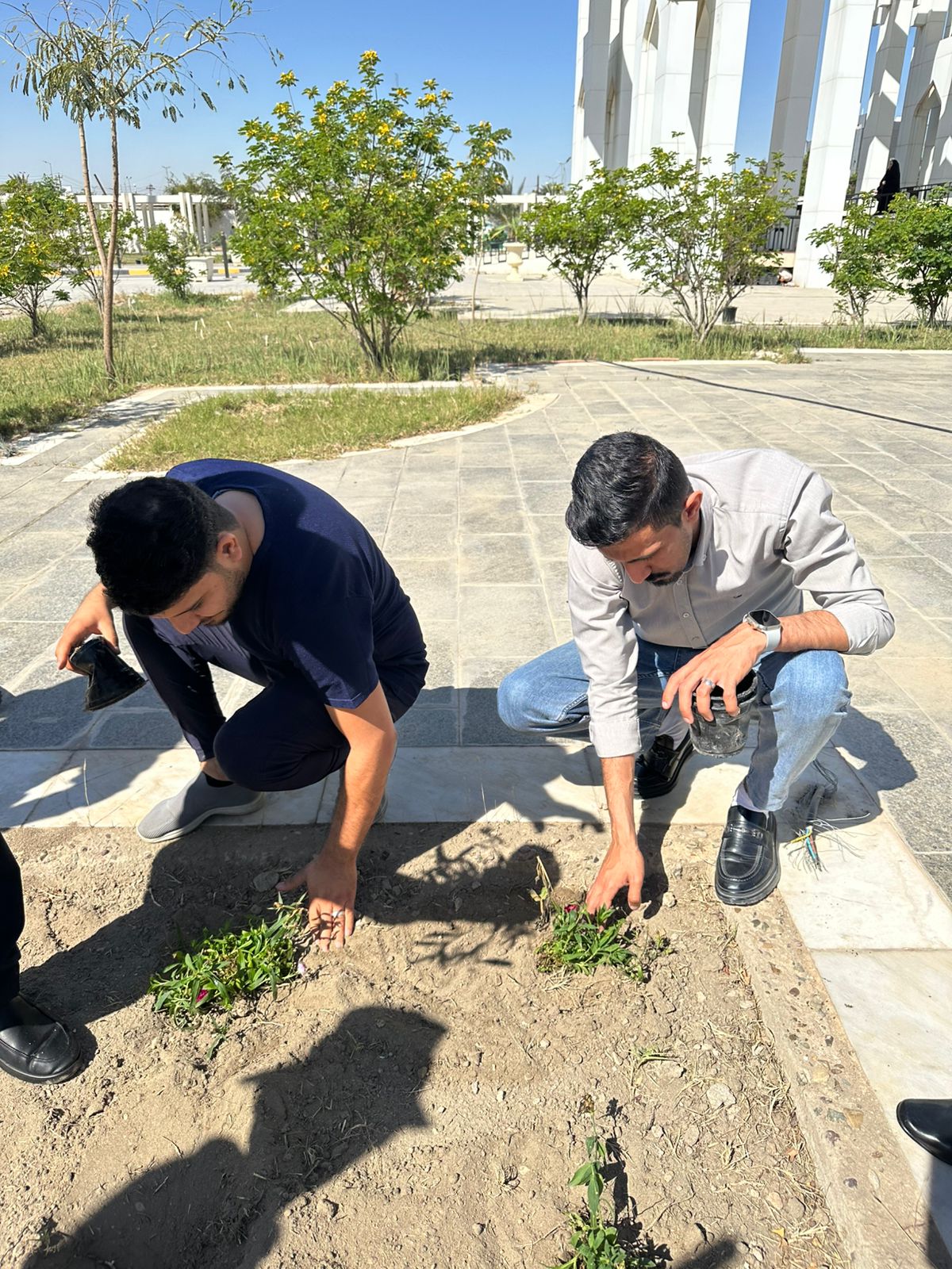 100 شتلة تُزرع في حدائق ديوان المحافظة ضمن الحملة الربيعية